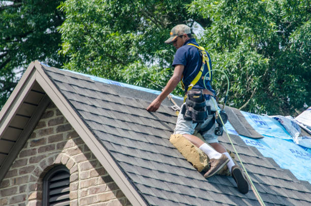 Best Shingle Roofing Installation  in Country Clu, FL